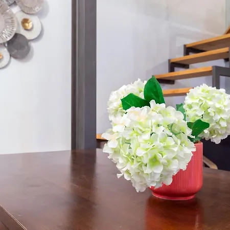 Nolo Cozy Loft شقة ميلان
